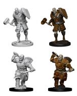 D&D Nolzur's Marvelous Miniatures: Goliath Fighter
