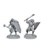 D&D Nolzur's Marvelous Miniatures: Dragonborn Clerics