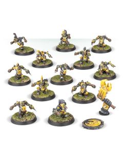 Blood Bowl: Goblin Team: The Scarcrag Snivellers