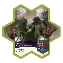 rgs-02796-06.webp
