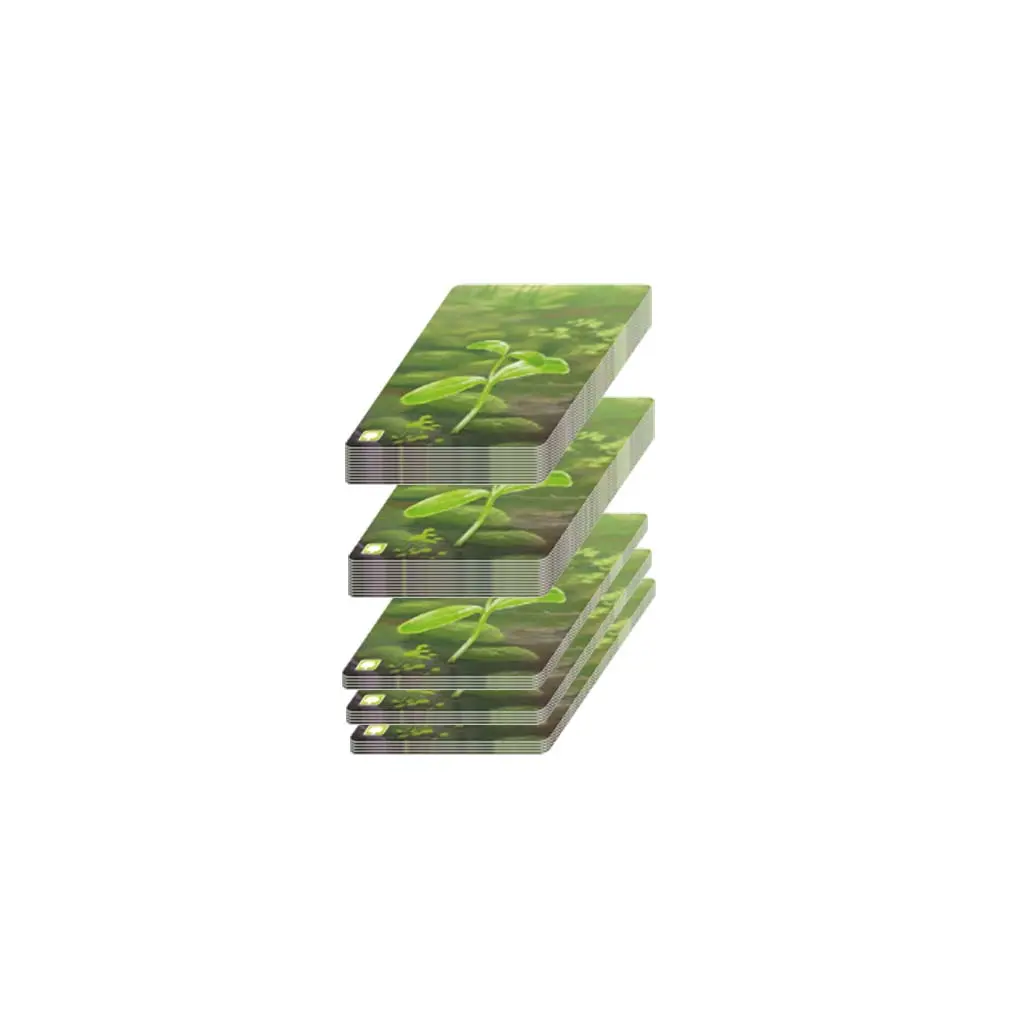 lk-0175-th-03.webp