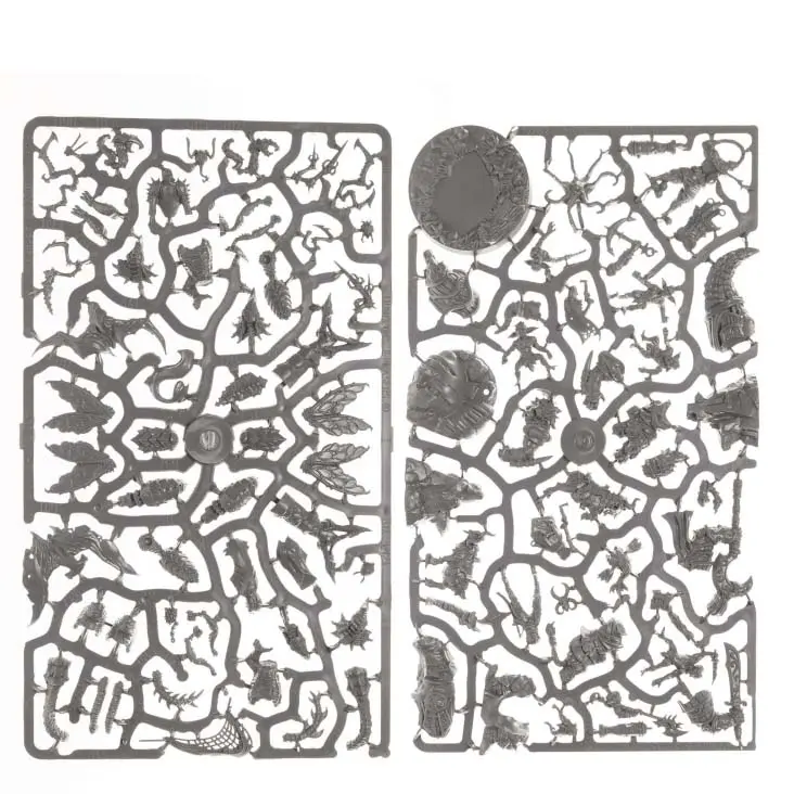 ach-dnl0109-11.webp