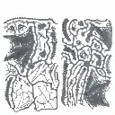 ach-dnl0111-06.webp
