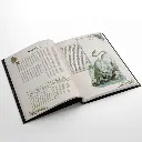 cb7-2468-03.webp