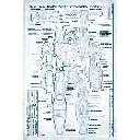 cat-358tb1-04.webp