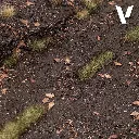 val-26808-02.webp