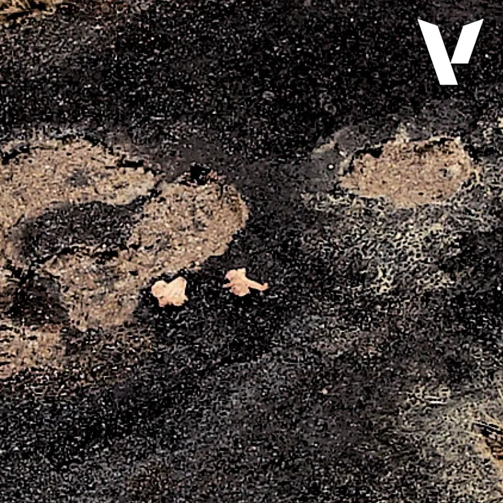 val-26214-02.webp