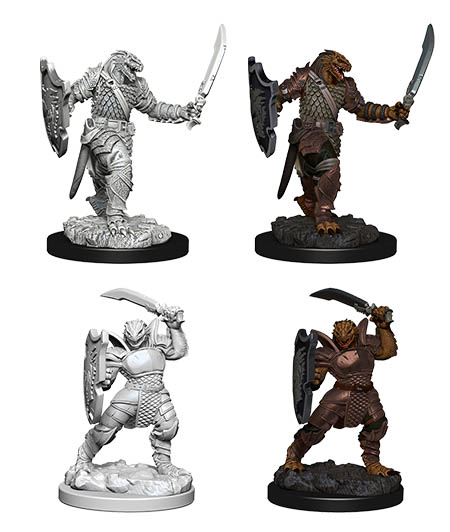 D&D Nolzur's Marvelous Miniatures: Dragonborn Paladin