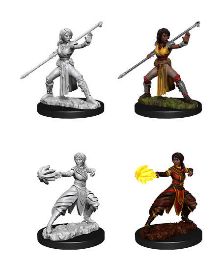 D&D Nolzur's Marvelous Miniatures: Half-Elf Monk