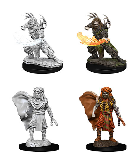 D&D Nolzur's Marvelous Miniatures: Human Druid