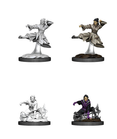 D&D Nolzur's Marvelous Miniatures: Human Monk