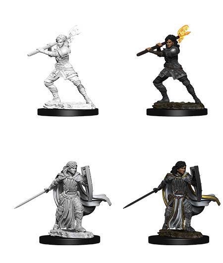 D&D Nolzur's Marvelous Miniatures: Human Paladin