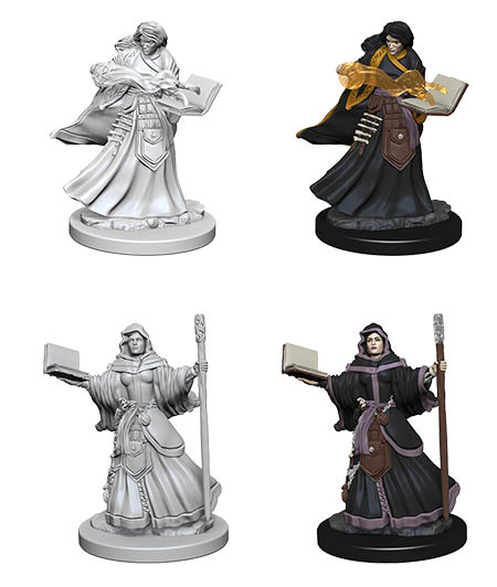 [WZK-72619] D&D Nolzur's Marvelous Miniatures: Human Wizard
