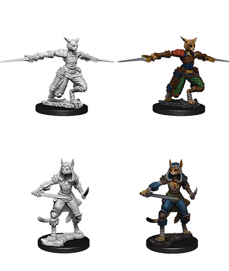 D&D Nolzur's Marvelous Miniatures: Tabaxi Rogue