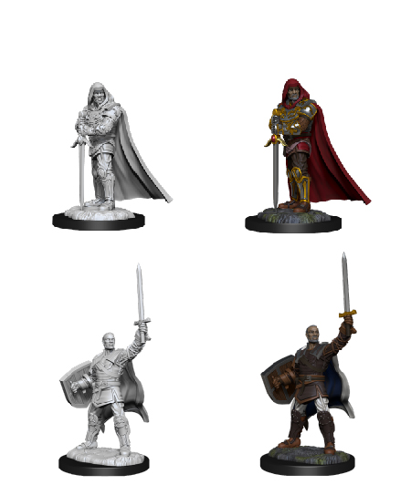 [WZK-90136] D&D Nolzur's Marvelous Miniatures: Human Paladin