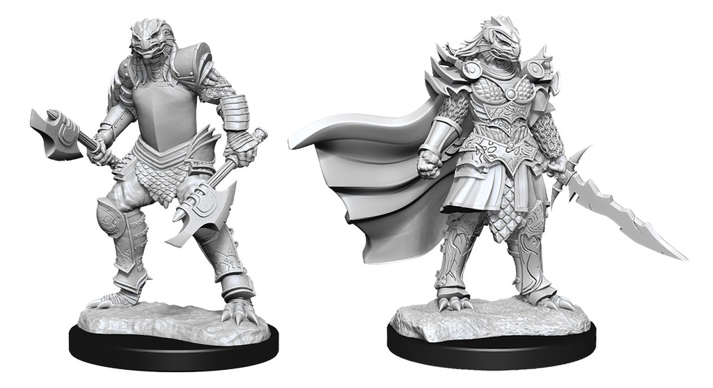 D&D Nolzur's Marvelous Miniatures: Dragonborn Fighter