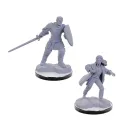 D&D Nolzur's Marvelous Miniatures: Reborn Paladin/Warlock