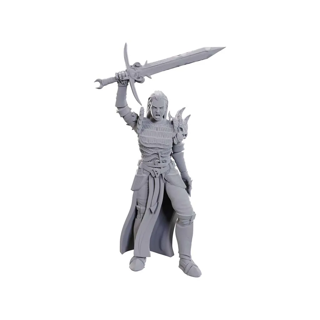 D&D Nolzur's Marvelous Miniatures: Blackguard