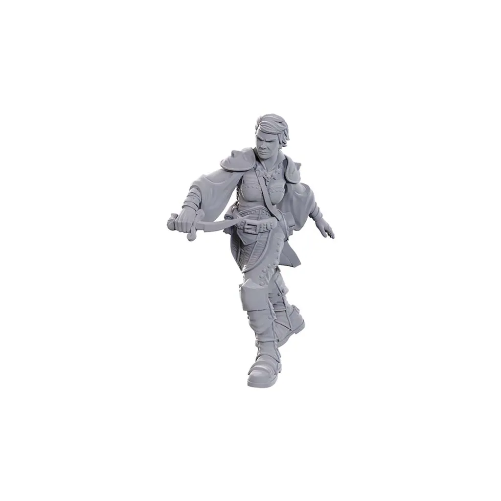 D&D Nolzur's Marvelous Miniatures: Swashbuckler