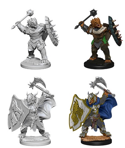 [WZK-73200] D&D Nolzur's Marvelous Miniatures: Dragonborn Paladin