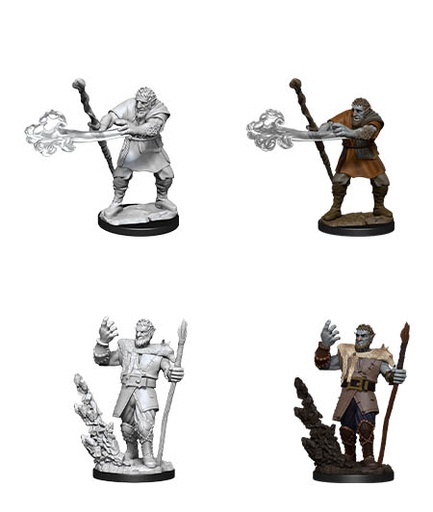 [WZK-90013] D&D Nolzur's Marvelous Miniatures: Firbolg Druid