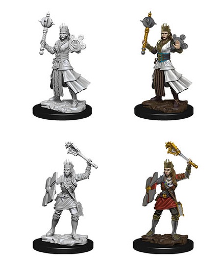 [WZK-73671] D&D Nolzur's Marvelous Miniatures: Human Cleric