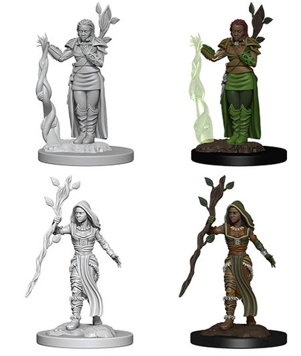 [WZK-72640] D&D Nolzur's Marvelous Miniatures: Human Druid 2