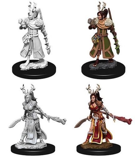 [WZK-73701] D&D Nolzur's Marvelous Miniatures: Human Druid 4