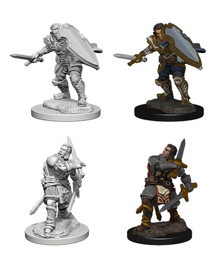 [WZK-72629] D&D Nolzur's Marvelous Miniatures: Human Paladin
