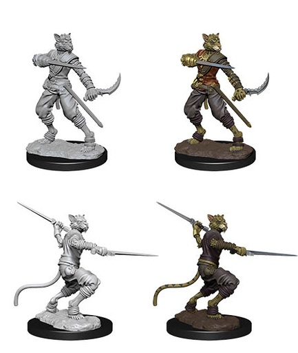 [WZK-73540] D&D Nolzur's Marvelous Miniatures: Tabaxi Rogue