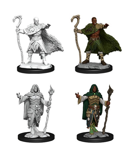 [WZK-90221] D&D Nolzur's Marvelous Miniatures: Human Druid 5