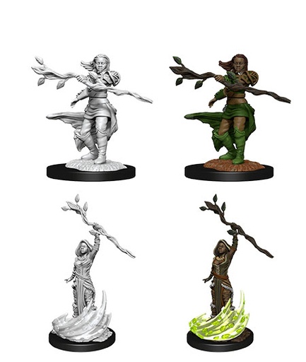 [WZK-90223] D&D Nolzur's Marvelous Miniatures: Human Druid 6