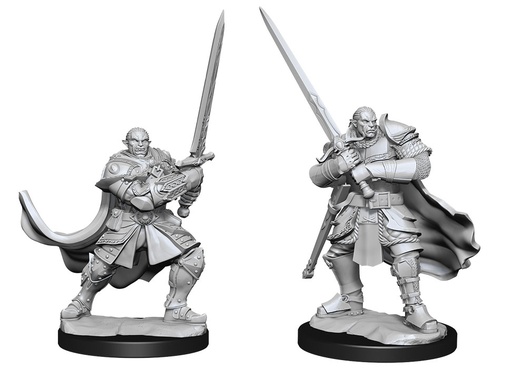 [WZK-90307] D&D Nolzur's Marvelous Miniatures: Half-Orc Paladin