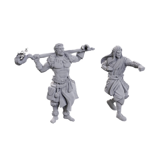 [WZK-90695] D&D Nolzur's Marvelous Miniatures: Archdruid & Martial Arts Adept