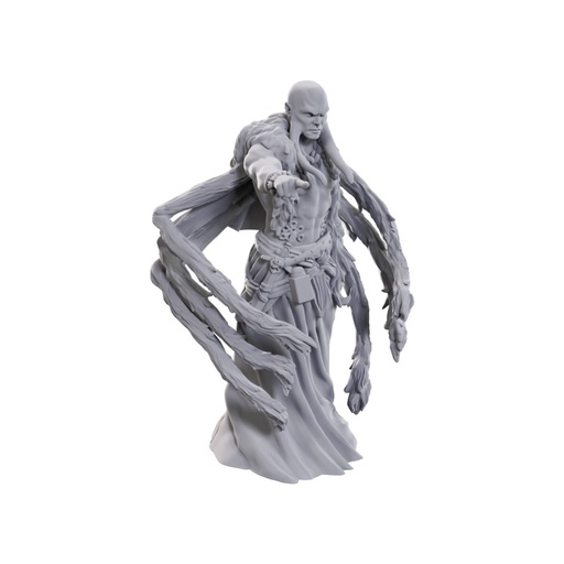 [WZK-90704] D&D Nolzur's Marvelous Miniatures: Kraken Priest